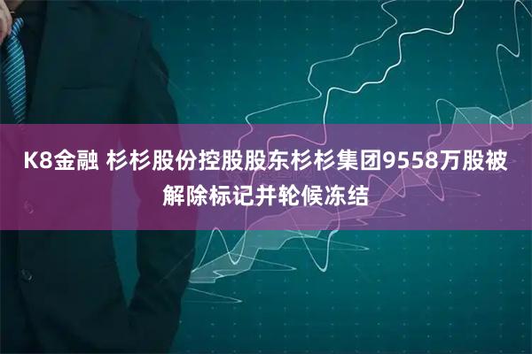 K8金融 杉杉股份控股股东杉杉集团9558万股被解除标记并轮候冻结
